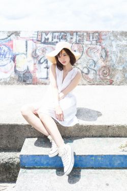 穿靴子的猫1